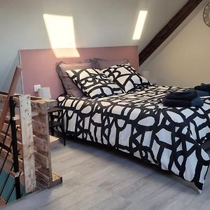 Cosis Colmar - 2 Chambres - 4 Pers - Duplex - Parking - Wifi